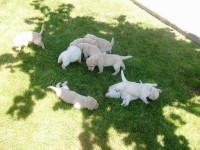 /album/fotos-recentes-/fotos-075-jpg/